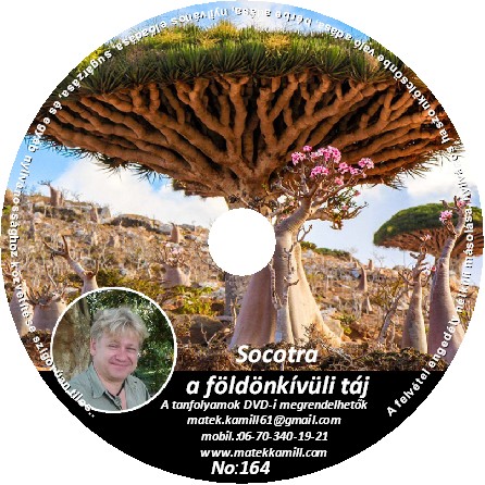 Socotra a fldnkvli tj előads